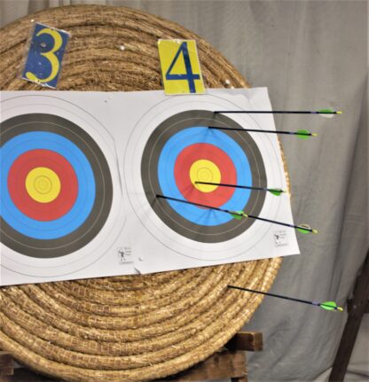Round target with arrows in